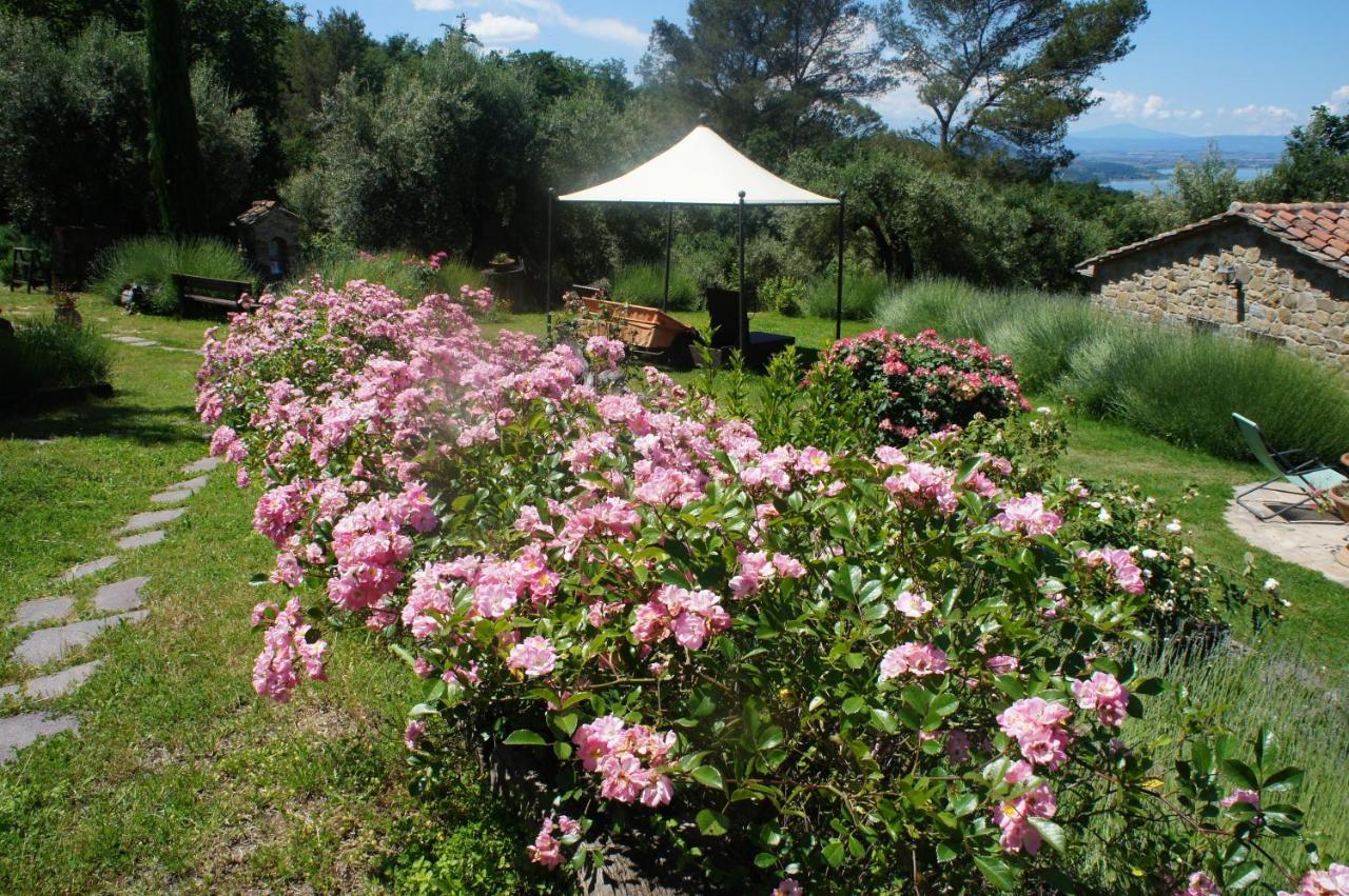 Ecoresort Il Cantico Della Natura Magione