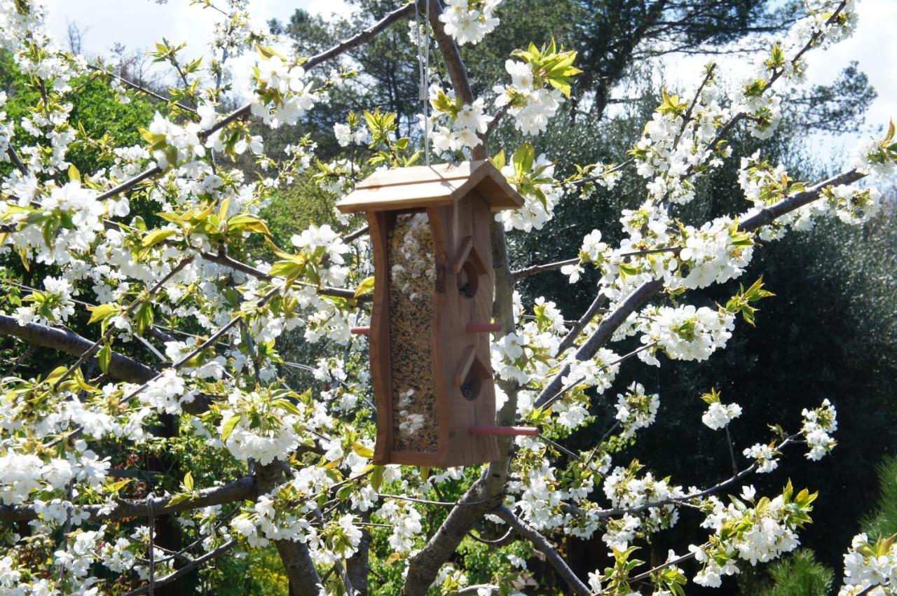 Ecoresort Il Cantico Della Natura Landhaus Magione