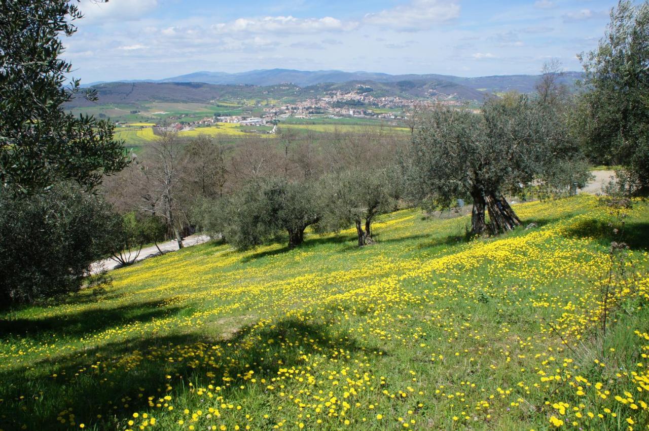 Ecoresort Il Cantico Della Natura Magione